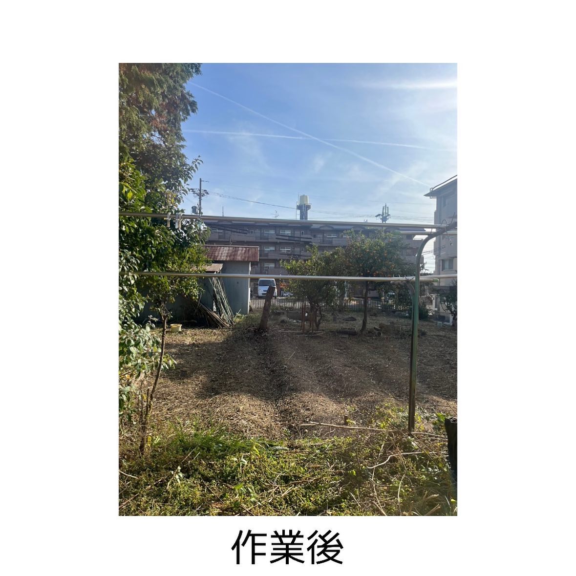 【名古屋市緑区発】お庭の草刈り