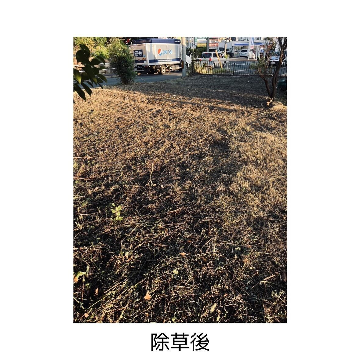 【名古屋市緑区除草作業】N様いつもありがとうございます！