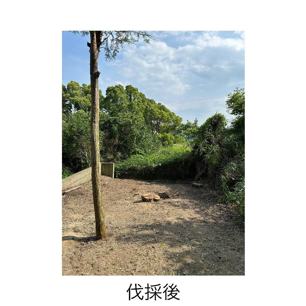 ・・・・・・・・・・・・・・・・・・・・・・・・・・