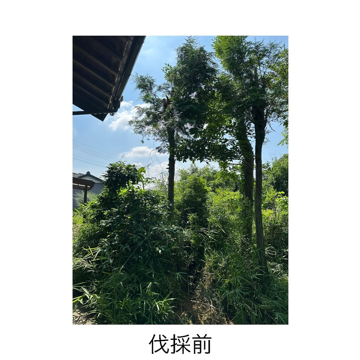 ・・・・・・・・・・・・・・・・・・・・・・・・・・