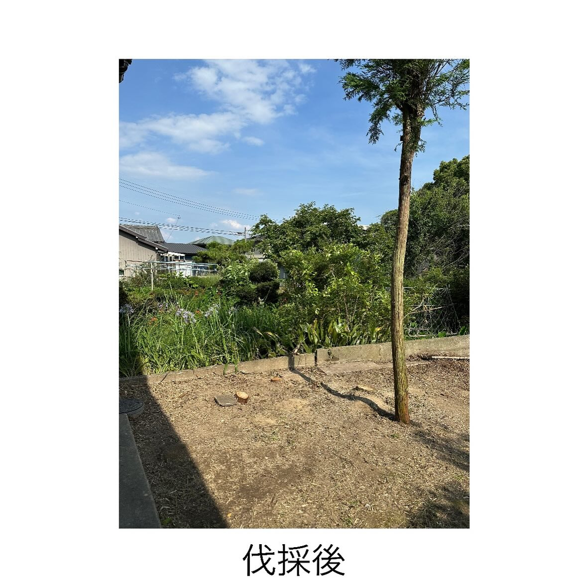 ・・・・・・・・・・・・・・・・・・・・・・・・・・