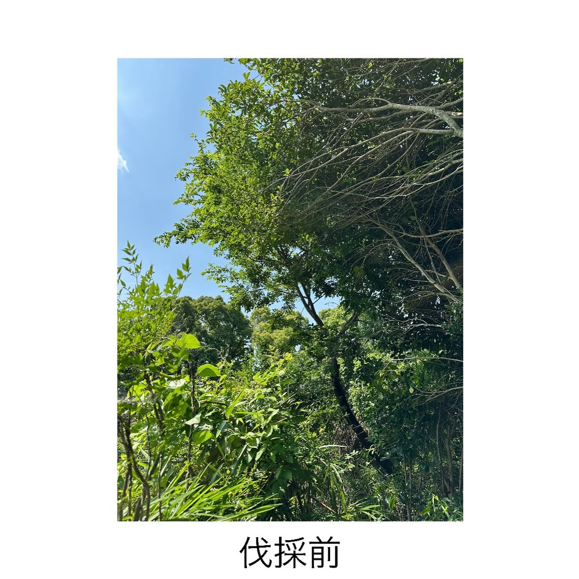 ・・・・・・・・・・・・・・・・・・・・・・・・・・