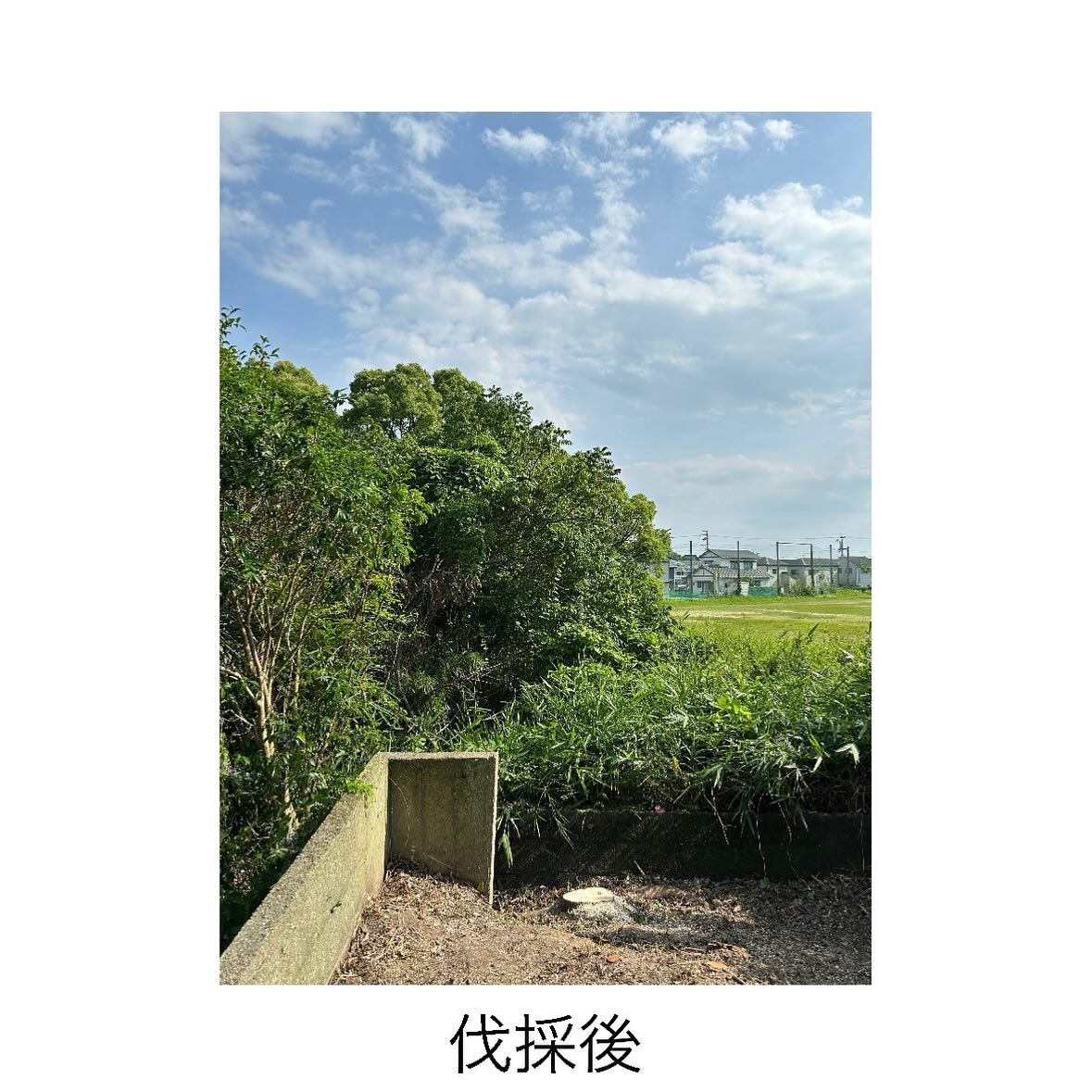 ・・・・・・・・・・・・・・・・・・・・・・・・・・