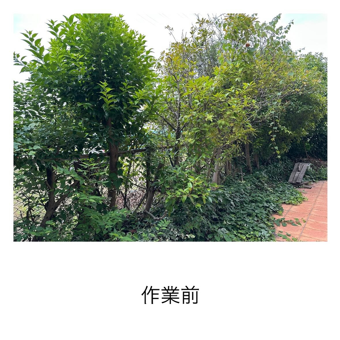 ・・・・・・・・・・・・・・・・・・・・・・・・・・