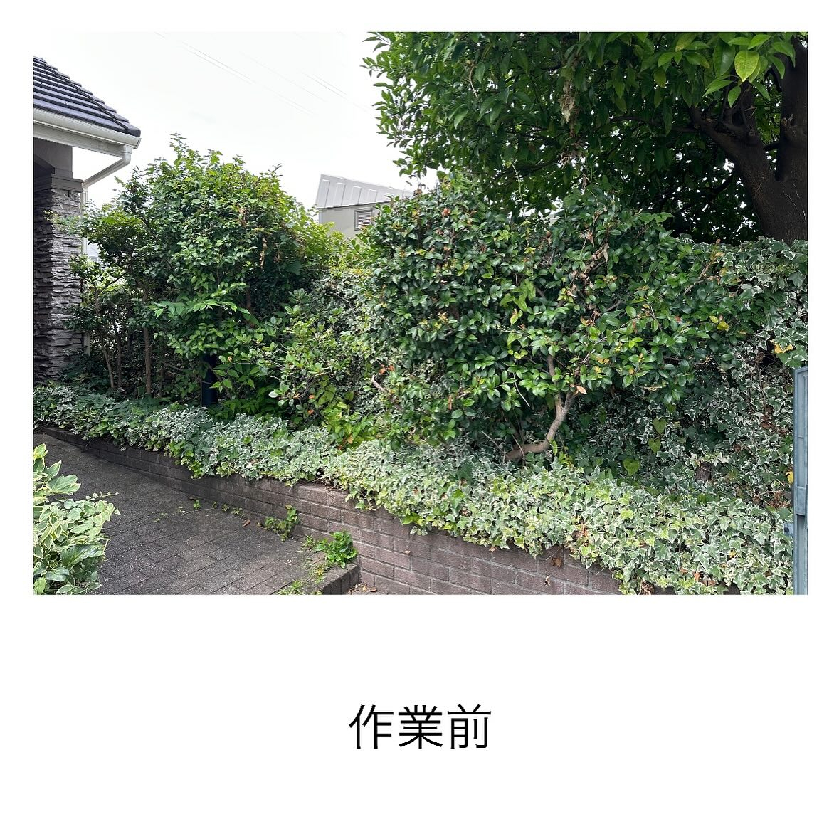 ・・・・・・・・・・・・・・・・・・・・・・・・・・