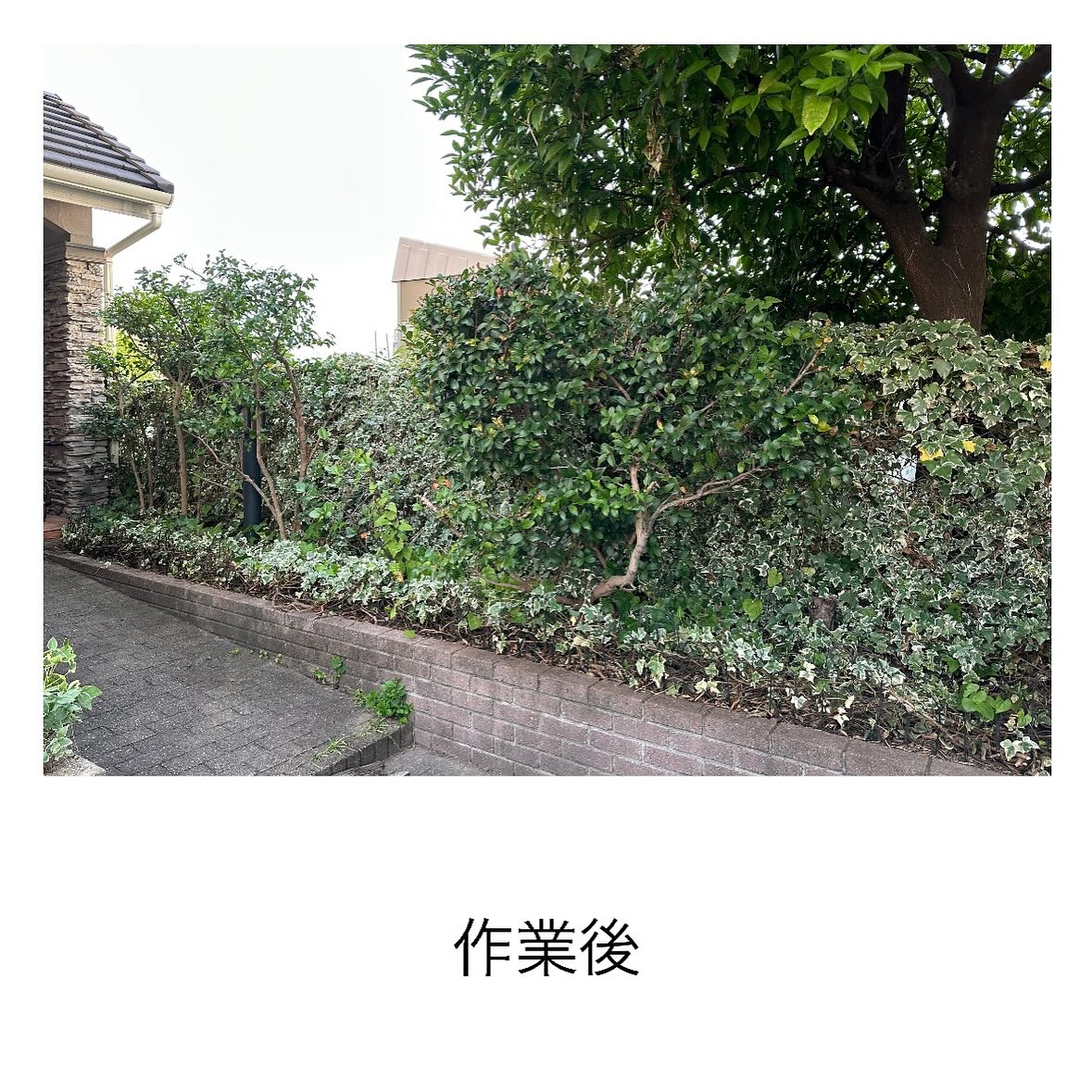 ・・・・・・・・・・・・・・・・・・・・・・・・・・