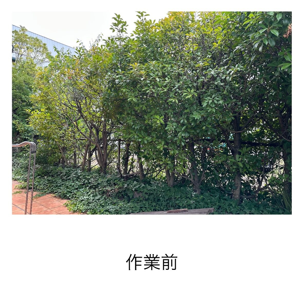 ・・・・・・・・・・・・・・・・・・・・・・・・・・