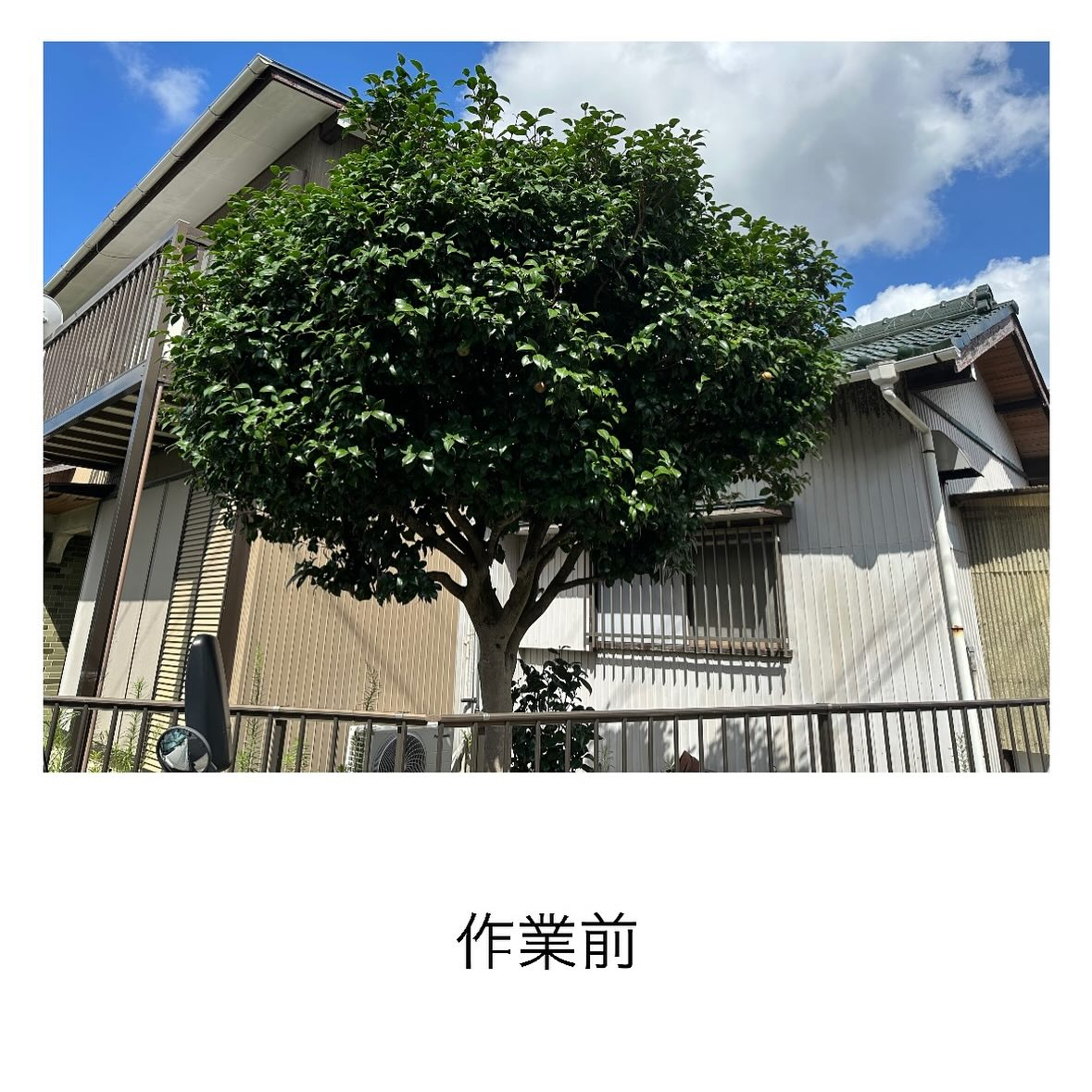 ・・・・・・・・・・・・・・・・・・・・・・・・・・