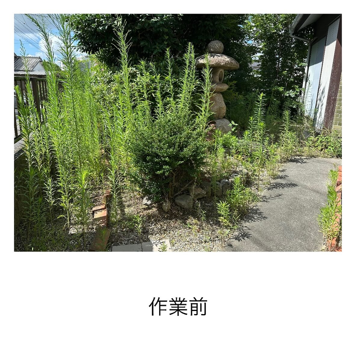 ・・・・・・・・・・・・・・・・・・・・・・・・・・