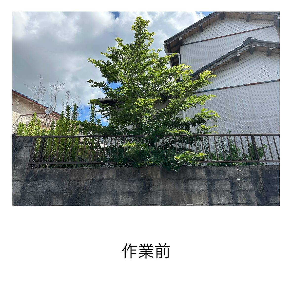 ・・・・・・・・・・・・・・・・・・・・・・・・・・