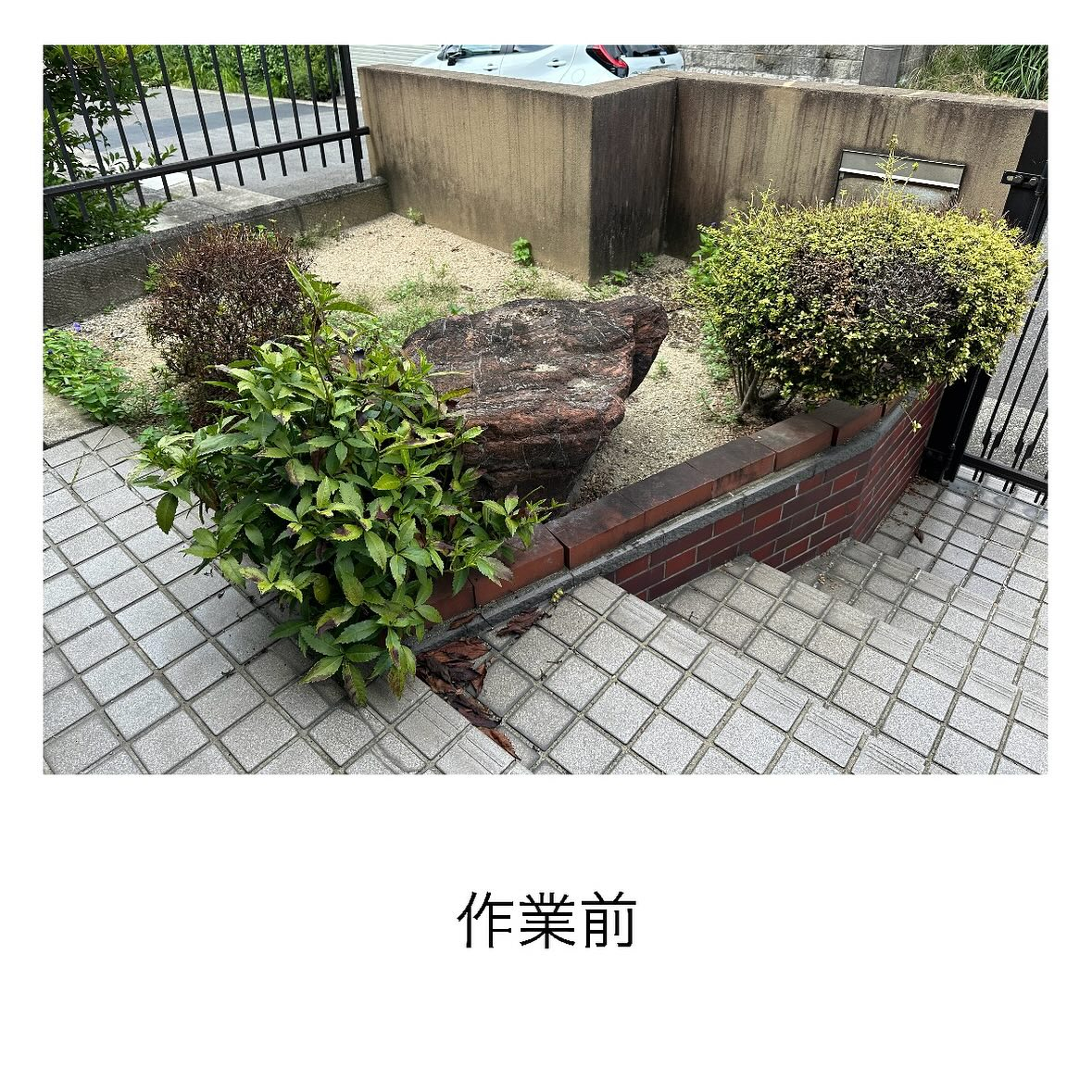 【大人気！お庭スッキリプラン伐採編】オール伐採・抜根で綺麗に(^^)/