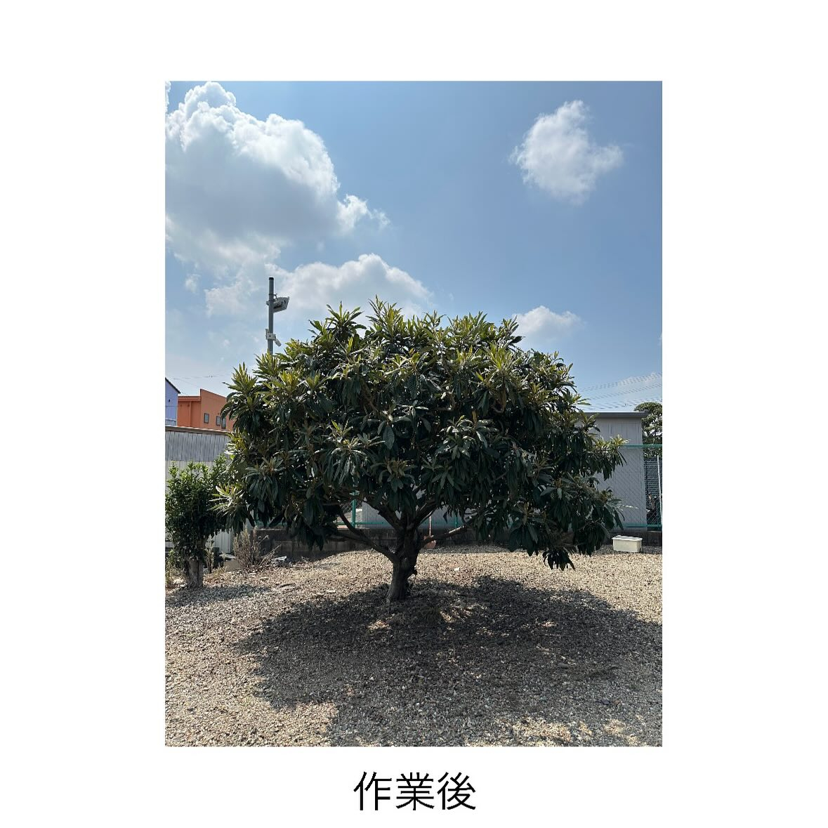 ・・・・・・・・・・・・・・・・・・・・・・・・・・