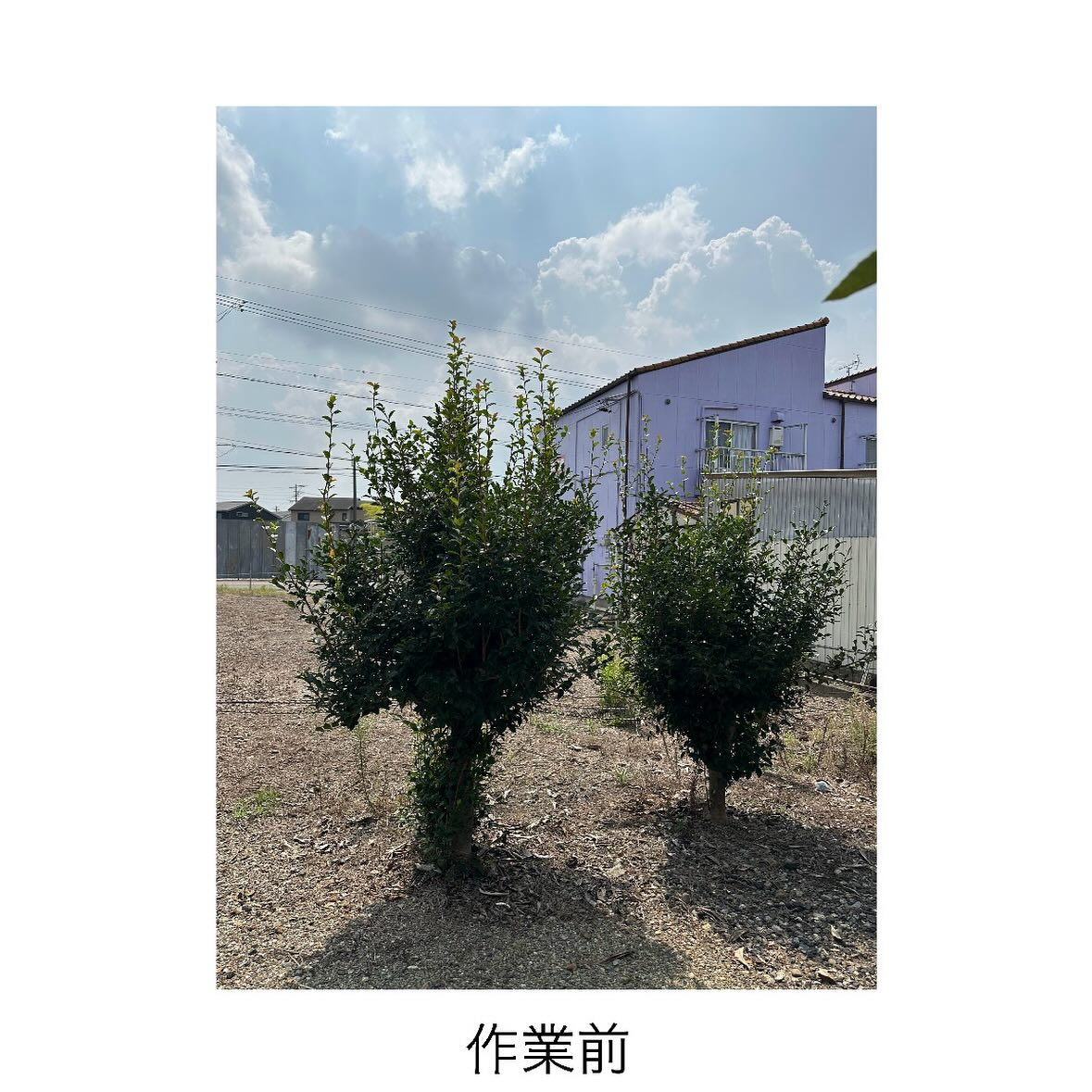 ・・・・・・・・・・・・・・・・・・・・・・・・・・