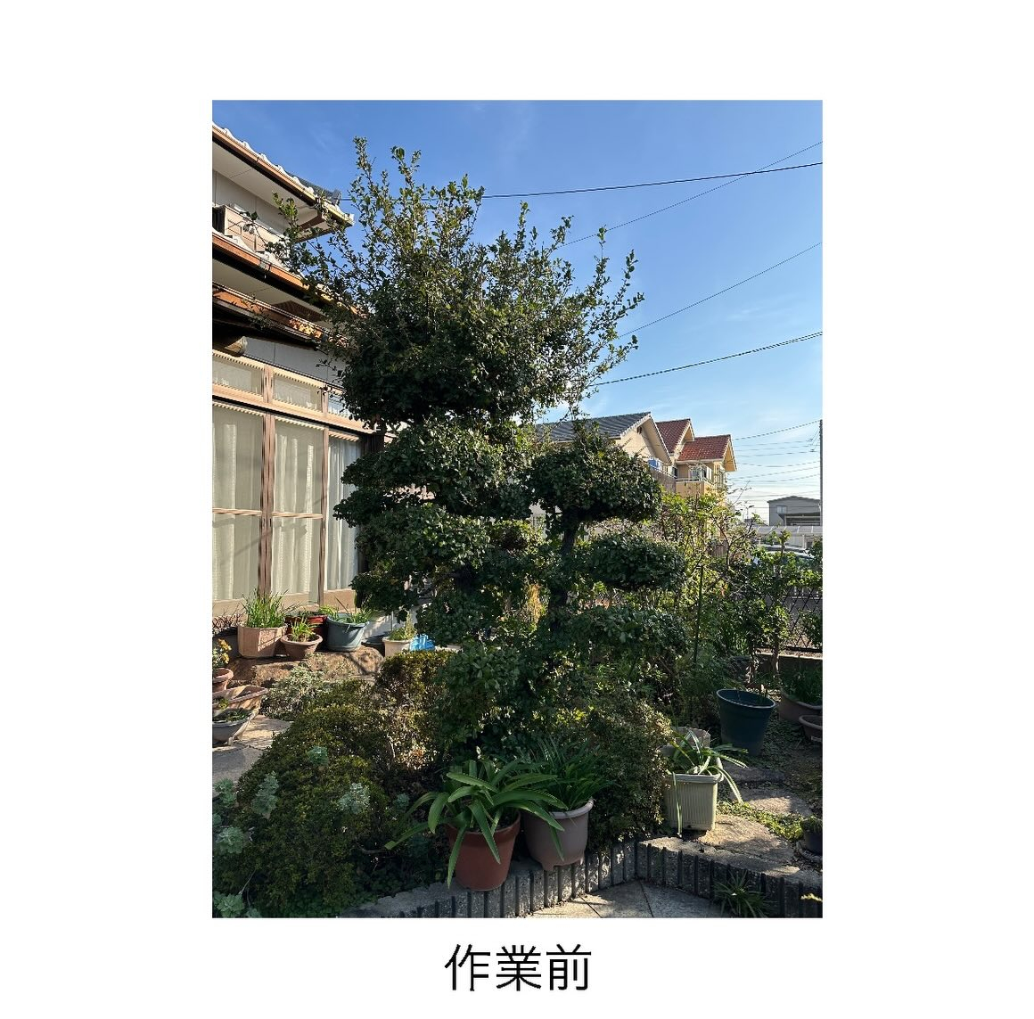 ・・・・・・・・・・・・・・・・・・・・・・・・・・