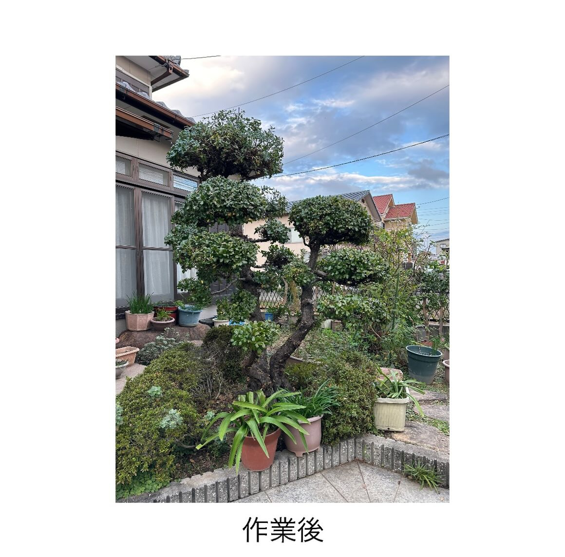 ・・・・・・・・・・・・・・・・・・・・・・・・・・