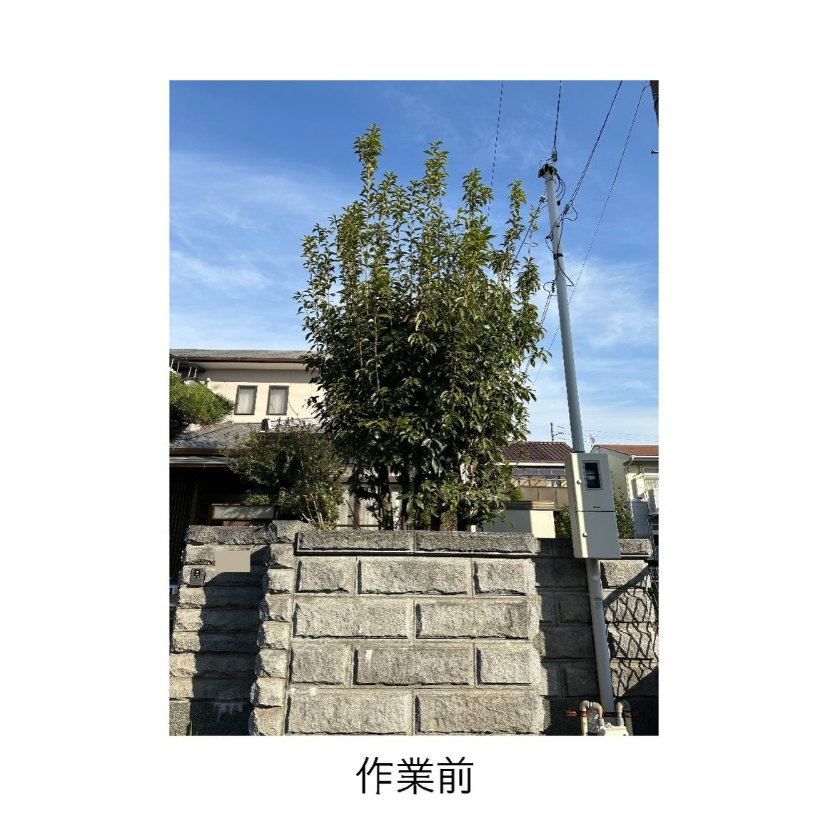 ・・・・・・・・・・・・・・・・・・・・・・・・・・