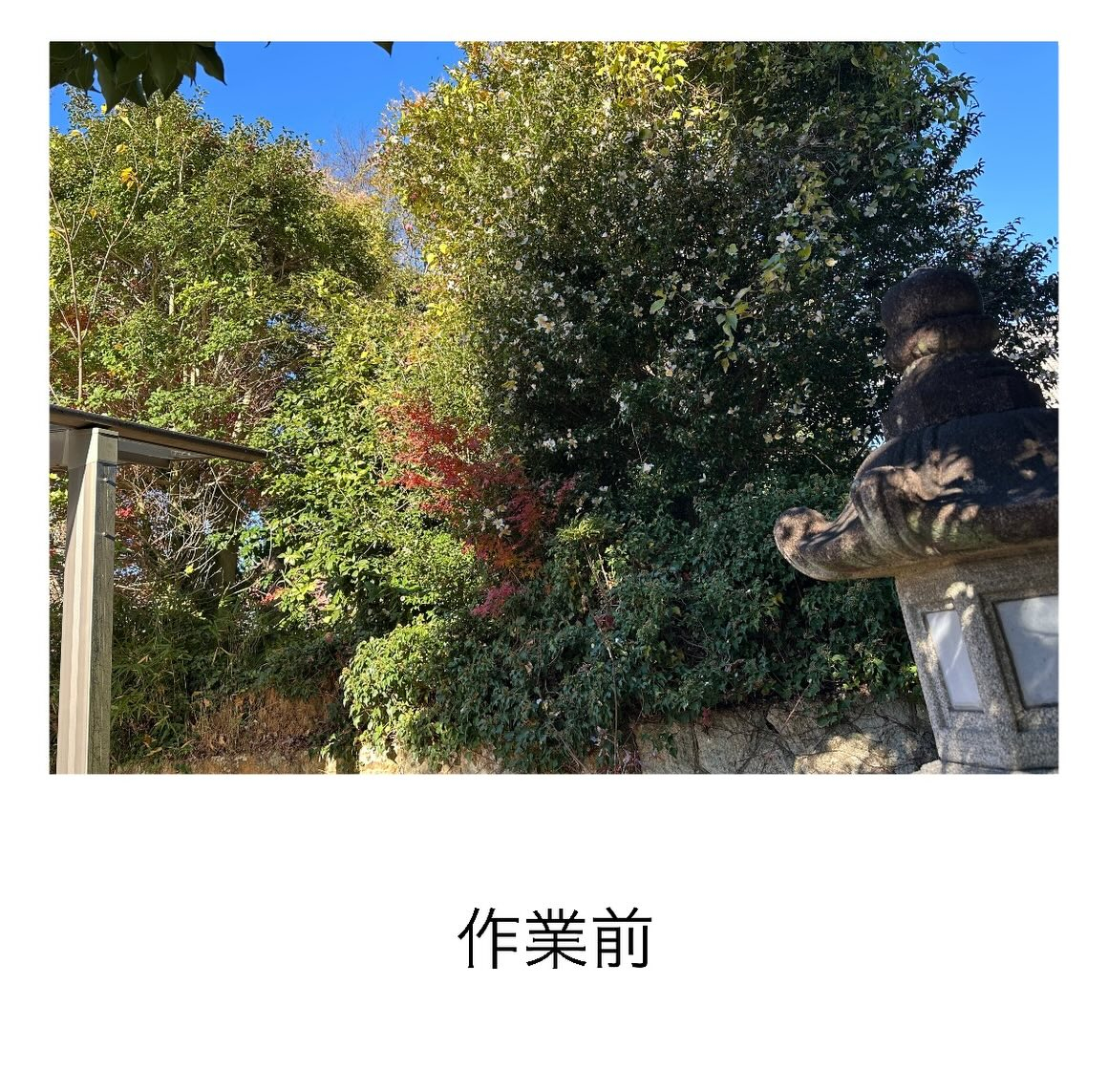 ・・・・・・・・・・・・・・・・・・・・・・・・・・