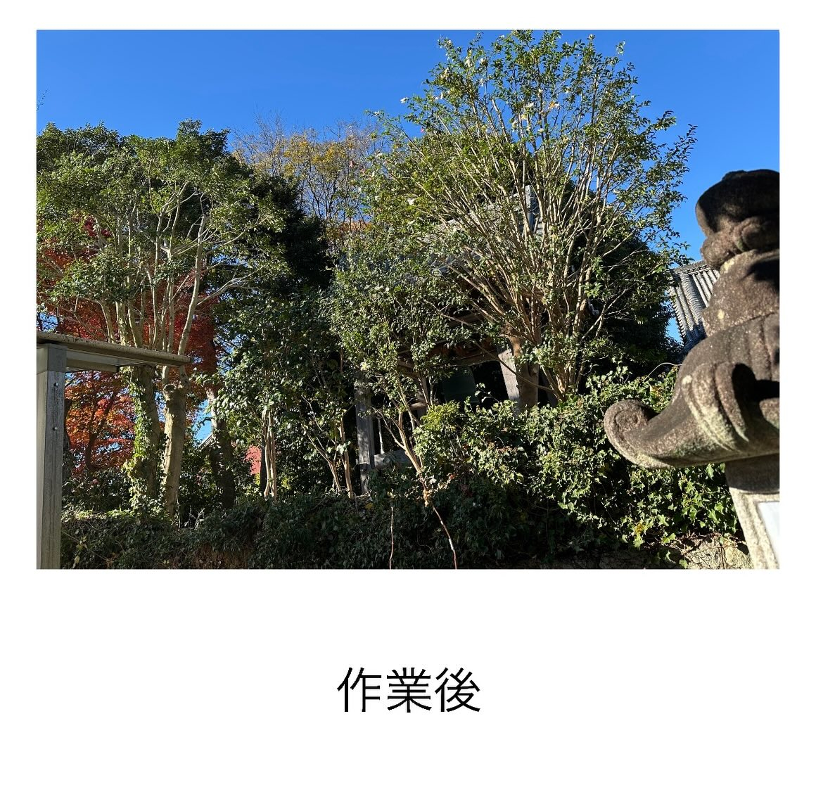 ・・・・・・・・・・・・・・・・・・・・・・・・・・