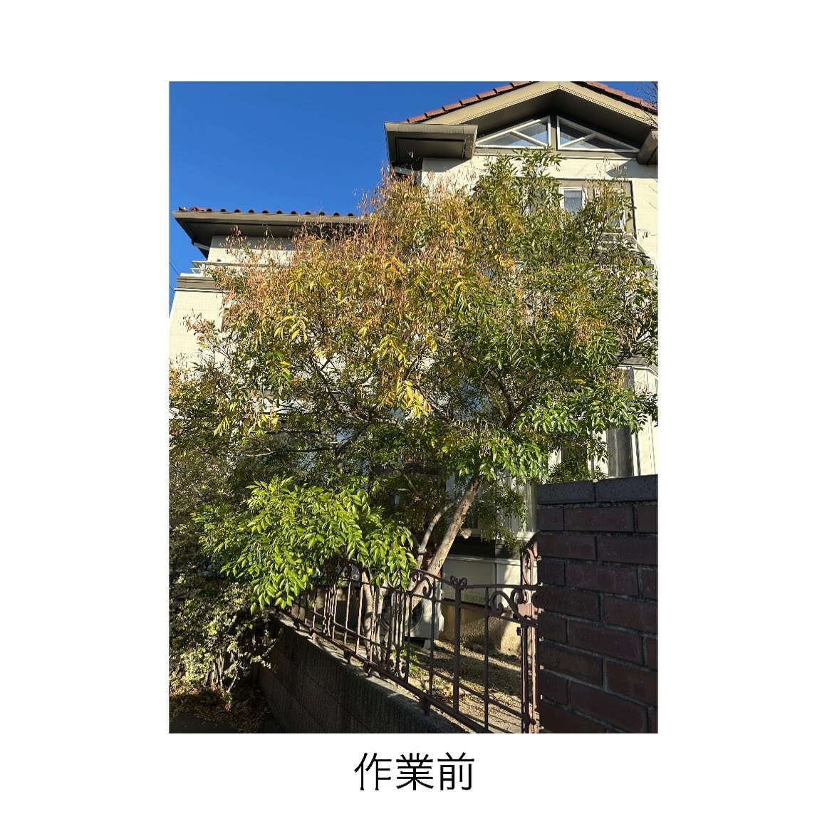 ・・・・・・・・・・・・・・・・・・・・・・・・・・