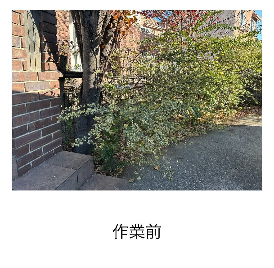 ・・・・・・・・・・・・・・・・・・・・・・・・・・