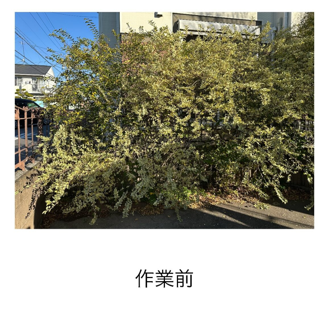 ・・・・・・・・・・・・・・・・・・・・・・・・・・