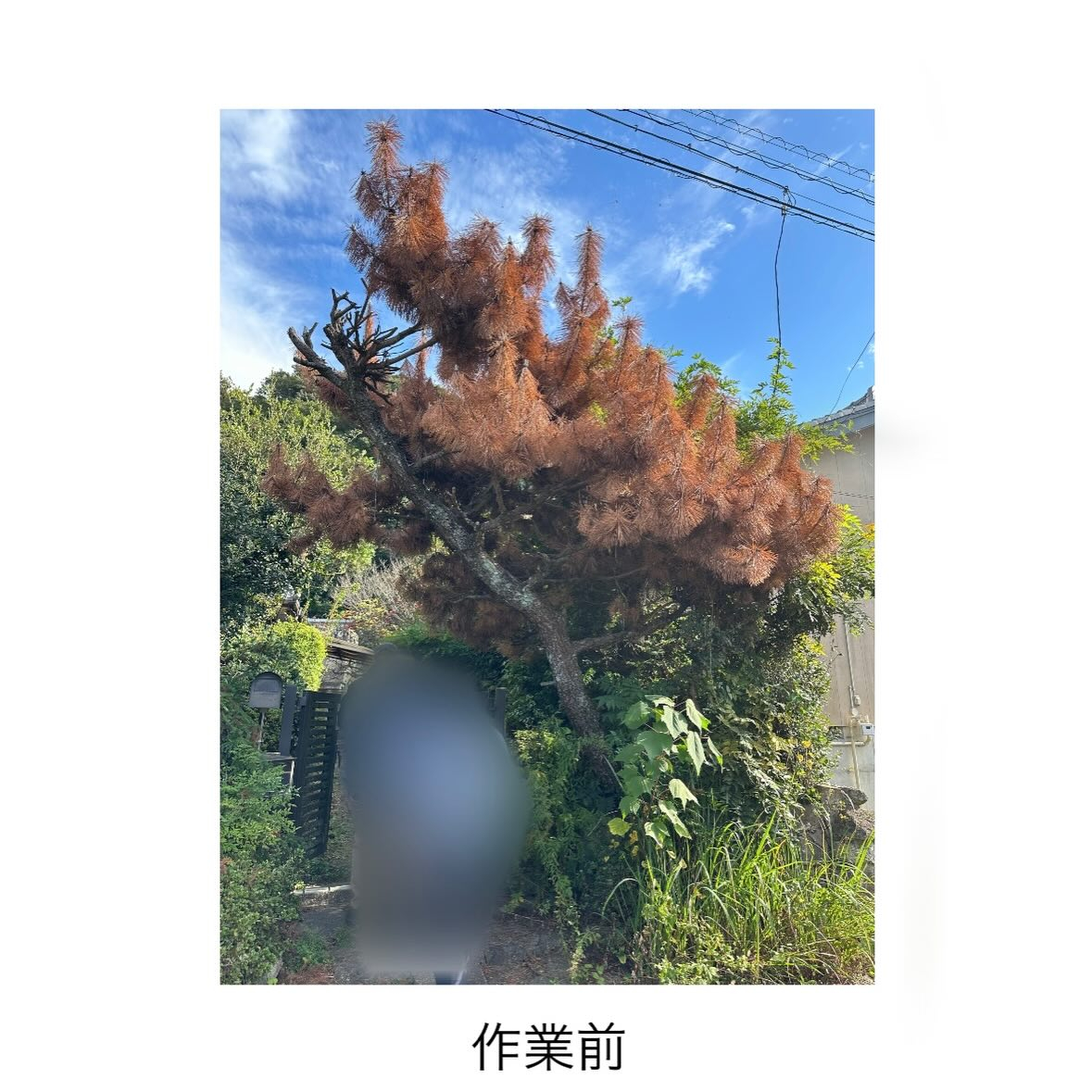 ・・・・・・・・・・・・・・・・・・・・・・・・・・