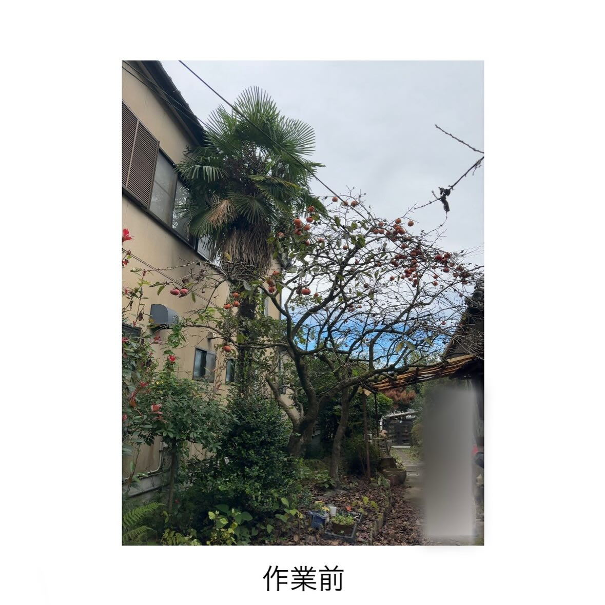 ・・・・・・・・・・・・・・・・・・・・・・・・・・