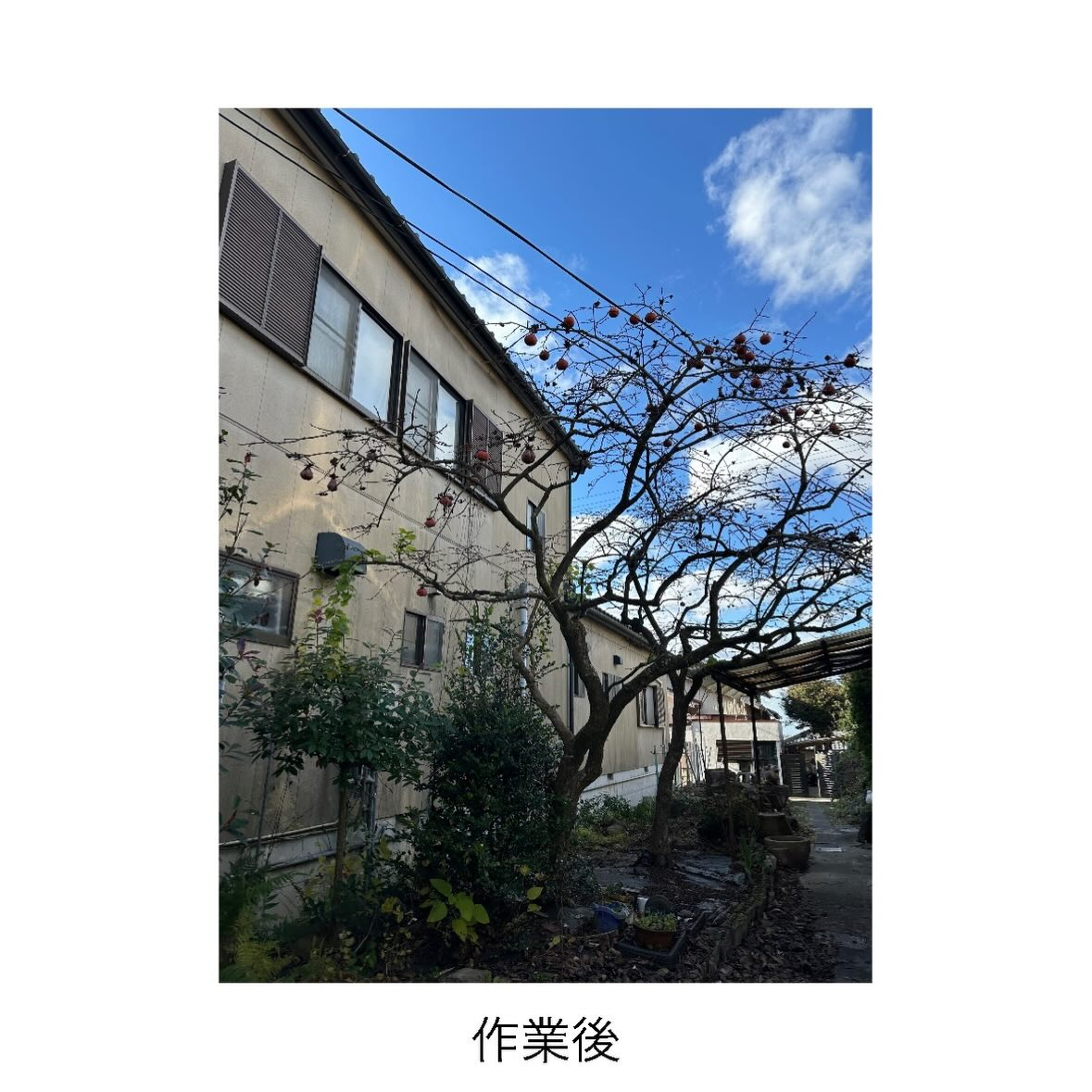 ・・・・・・・・・・・・・・・・・・・・・・・・・・