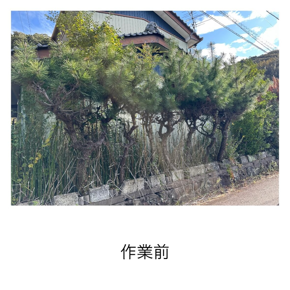 ・・・・・・・・・・・・・・・・・・・・・・・・・・