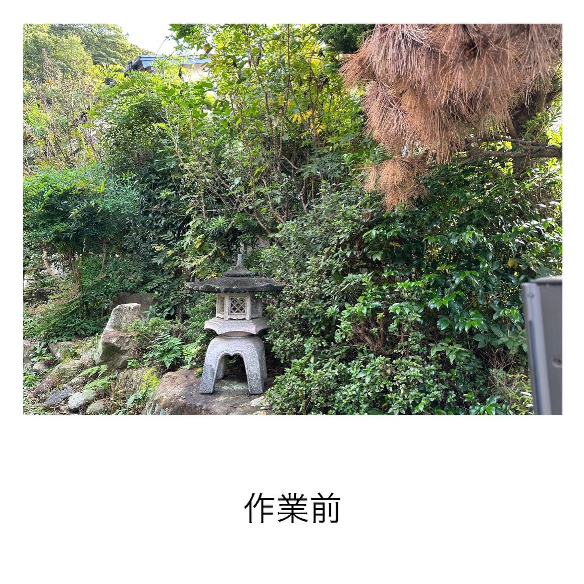 ・・・・・・・・・・・・・・・・・・・・・・・・・・