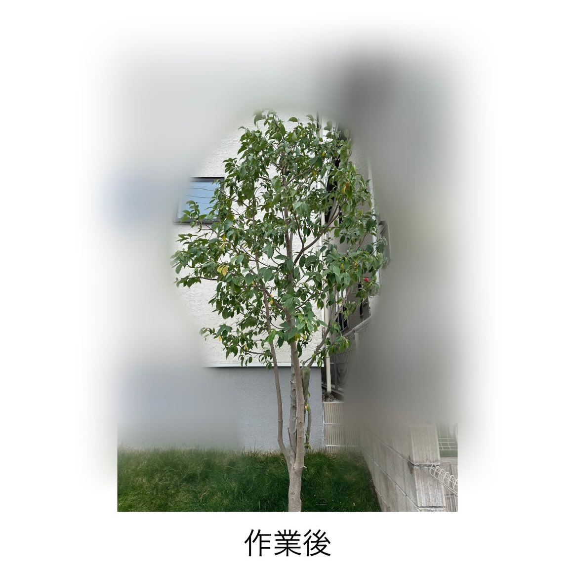 ・・・・・・・・・・・・・・・・・・・・・・・・・・