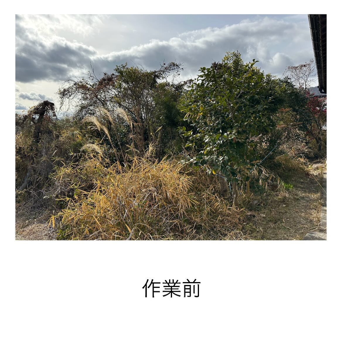 【常滑市発！】T様宅へ伐採に伺いました(^^)/