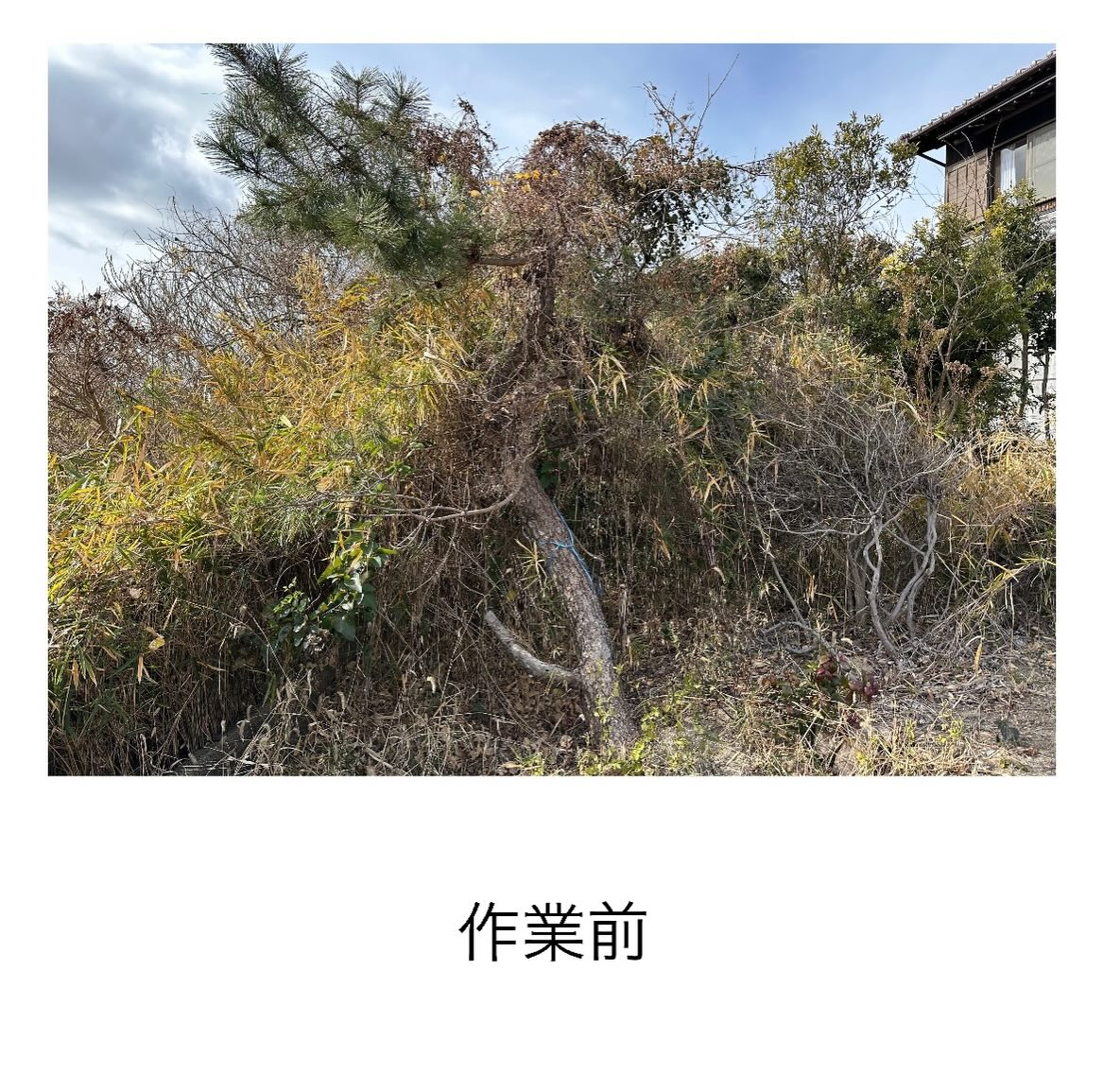 ・・・・・・・・・・・・・・・・・・・・・・・・・・