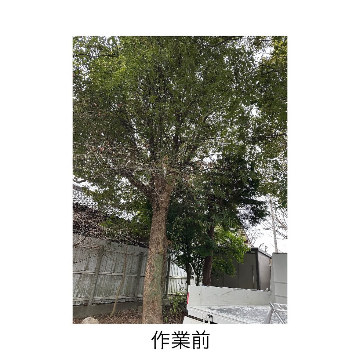 【いつもありがとうございます】松林山 光泉寺 様