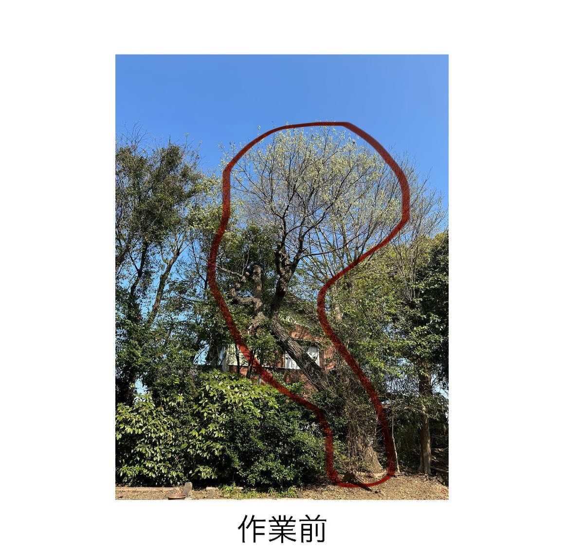 ・・・・・・・・・・・・・・・・・・・・・・・・・・