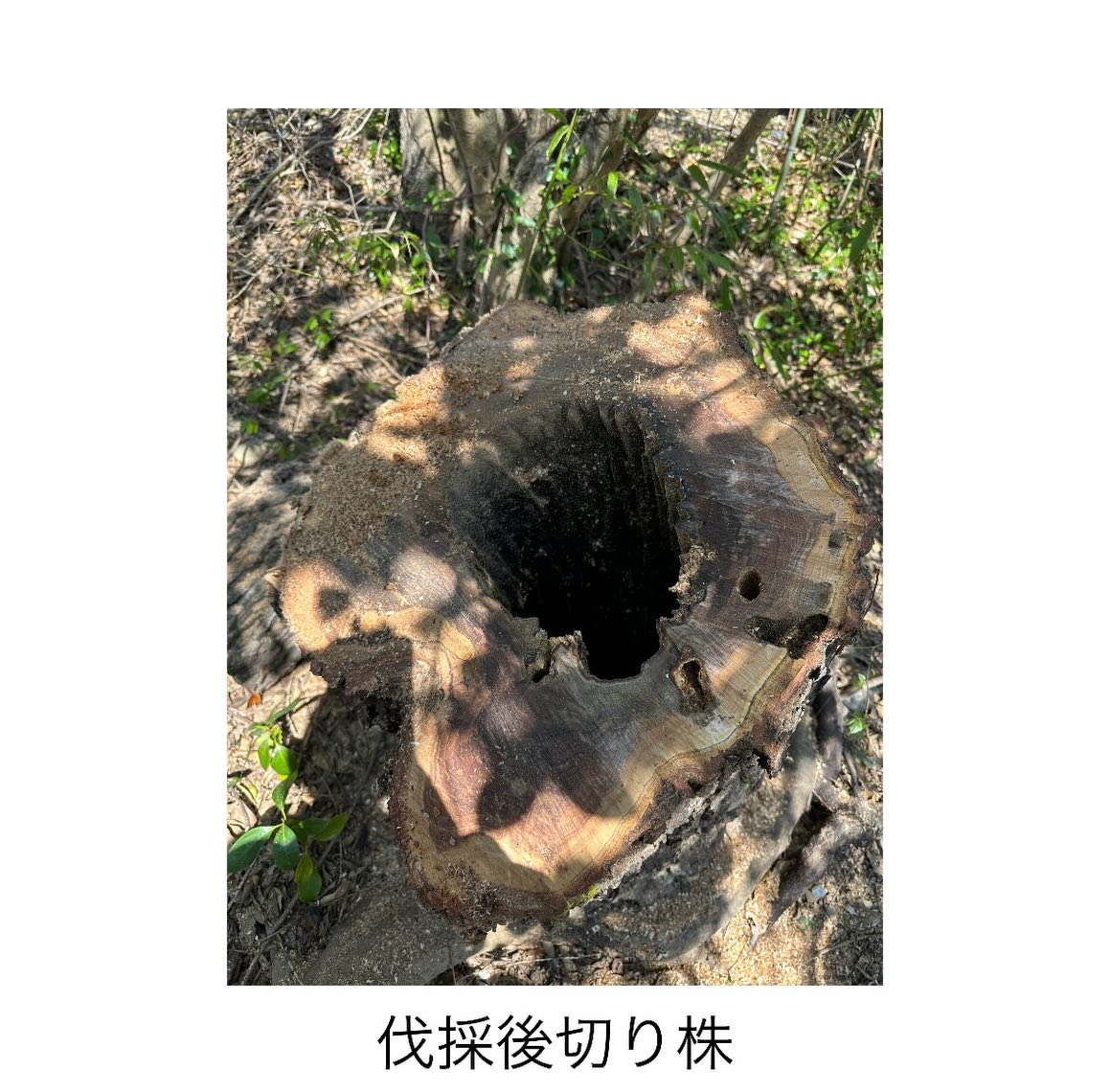 ・・・・・・・・・・・・・・・・・・・・・・・・・・