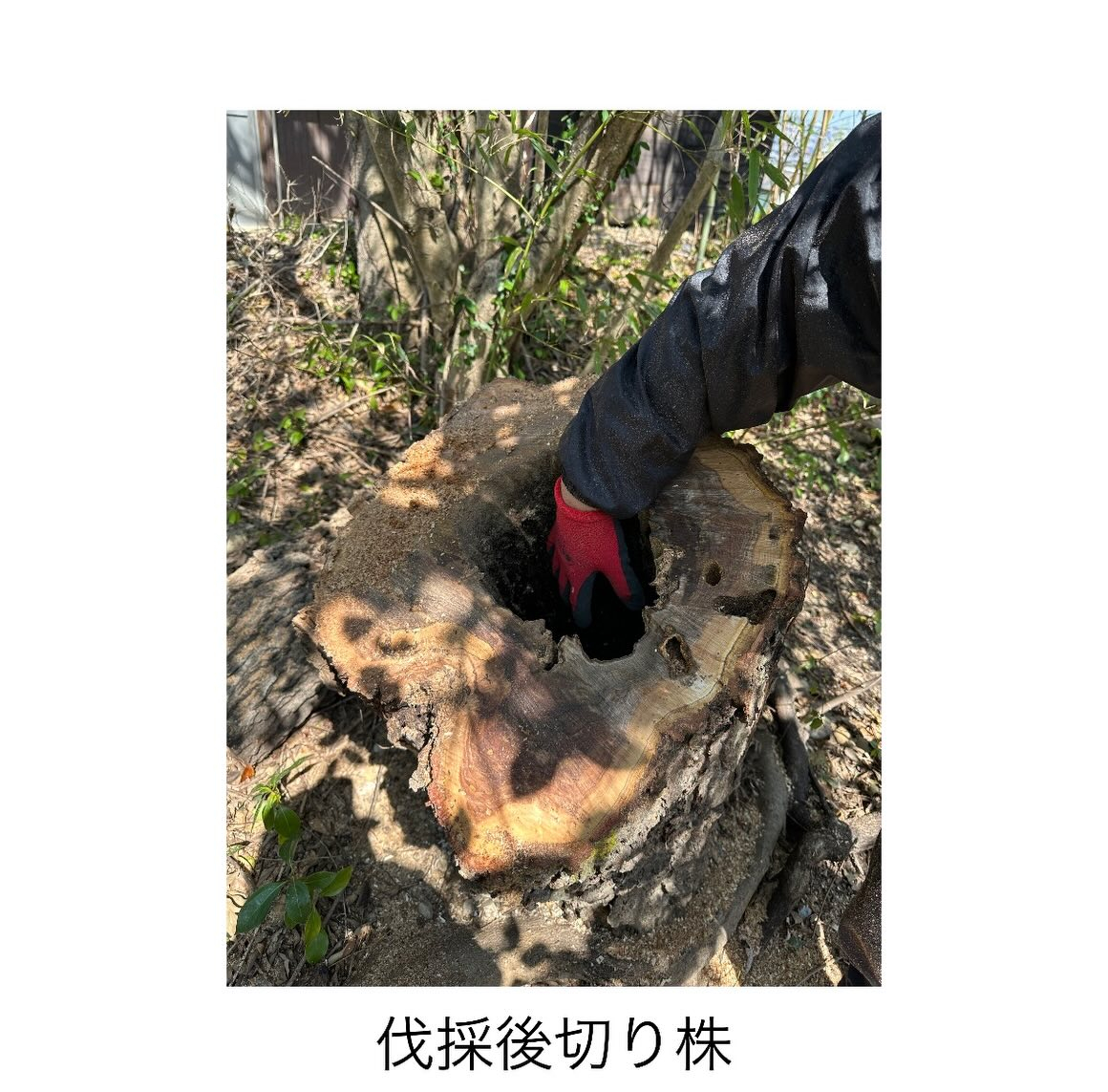 ・・・・・・・・・・・・・・・・・・・・・・・・・・