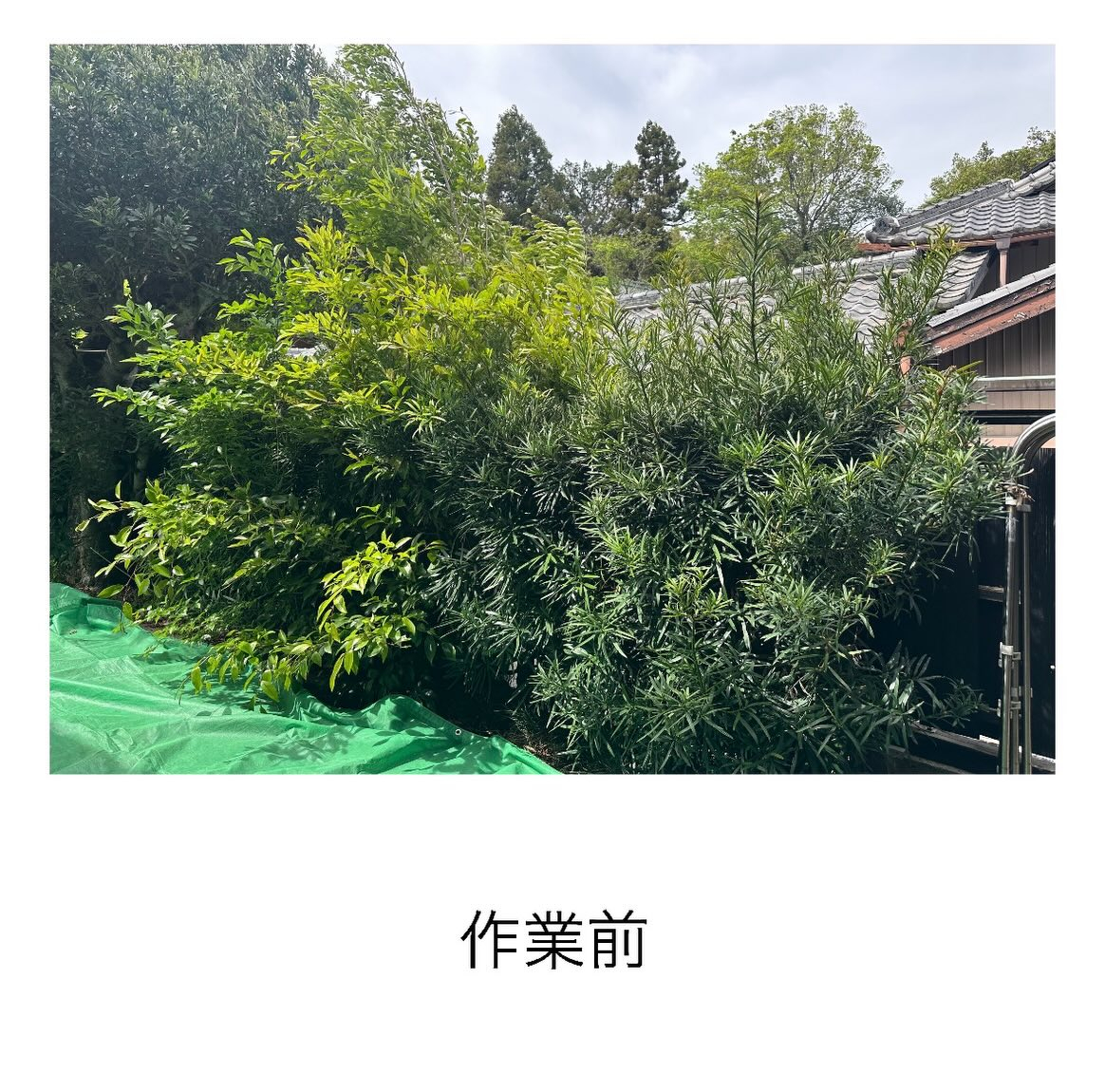 ・・・・・・・・・・・・・・・・・・・・・・・・・・