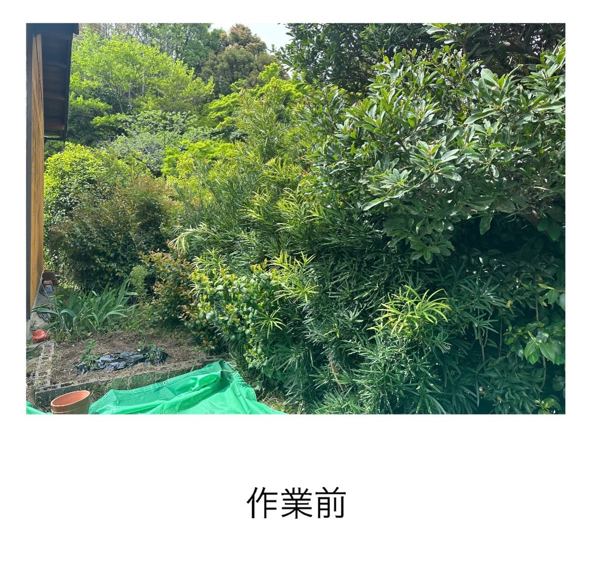 ・・・・・・・・・・・・・・・・・・・・・・・・・・