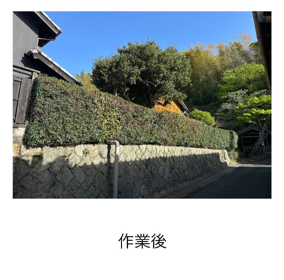 ・・・・・・・・・・・・・・・・・・・・・・・・・・