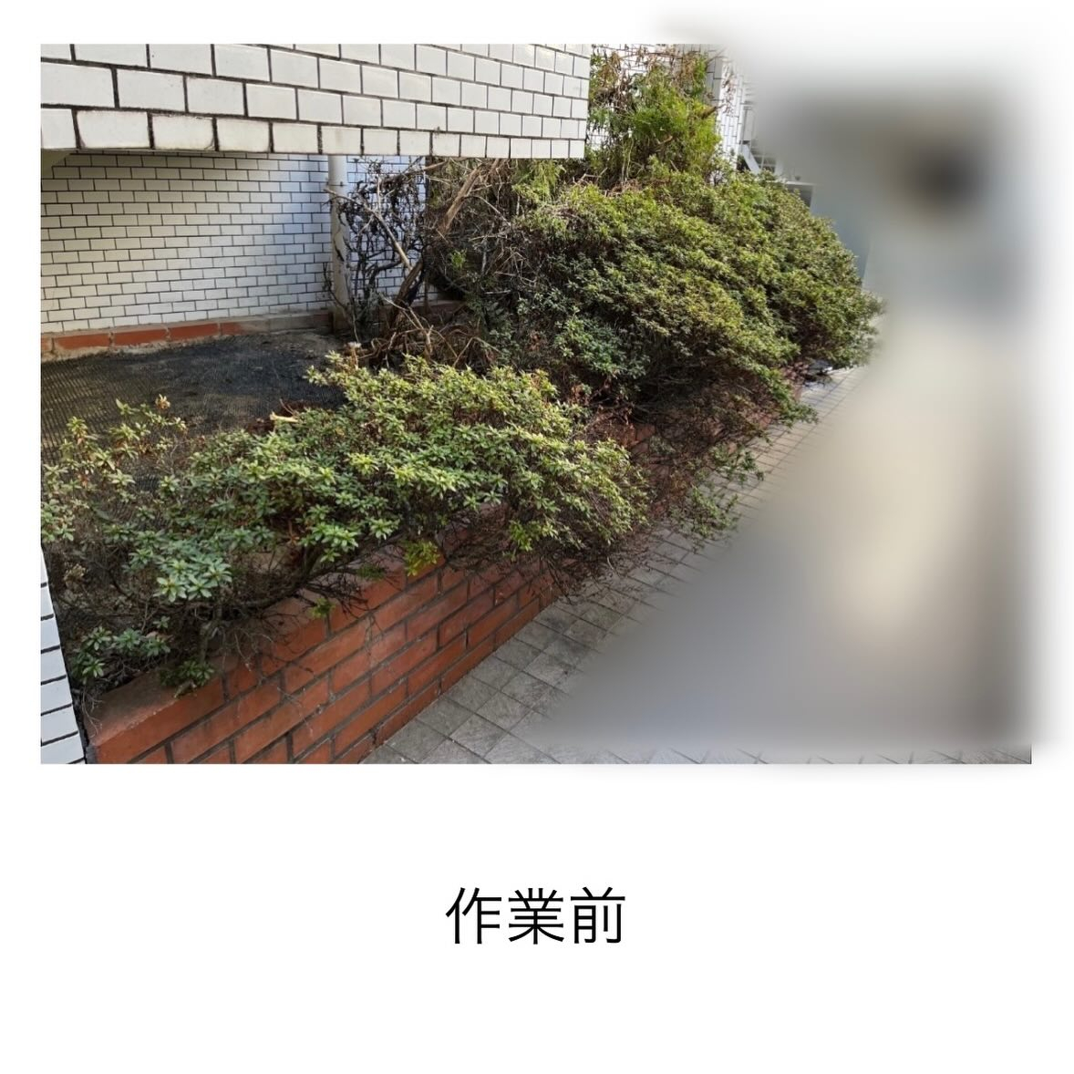 ・・・・・・・・・・・・・・・・・・・・・・・・・・