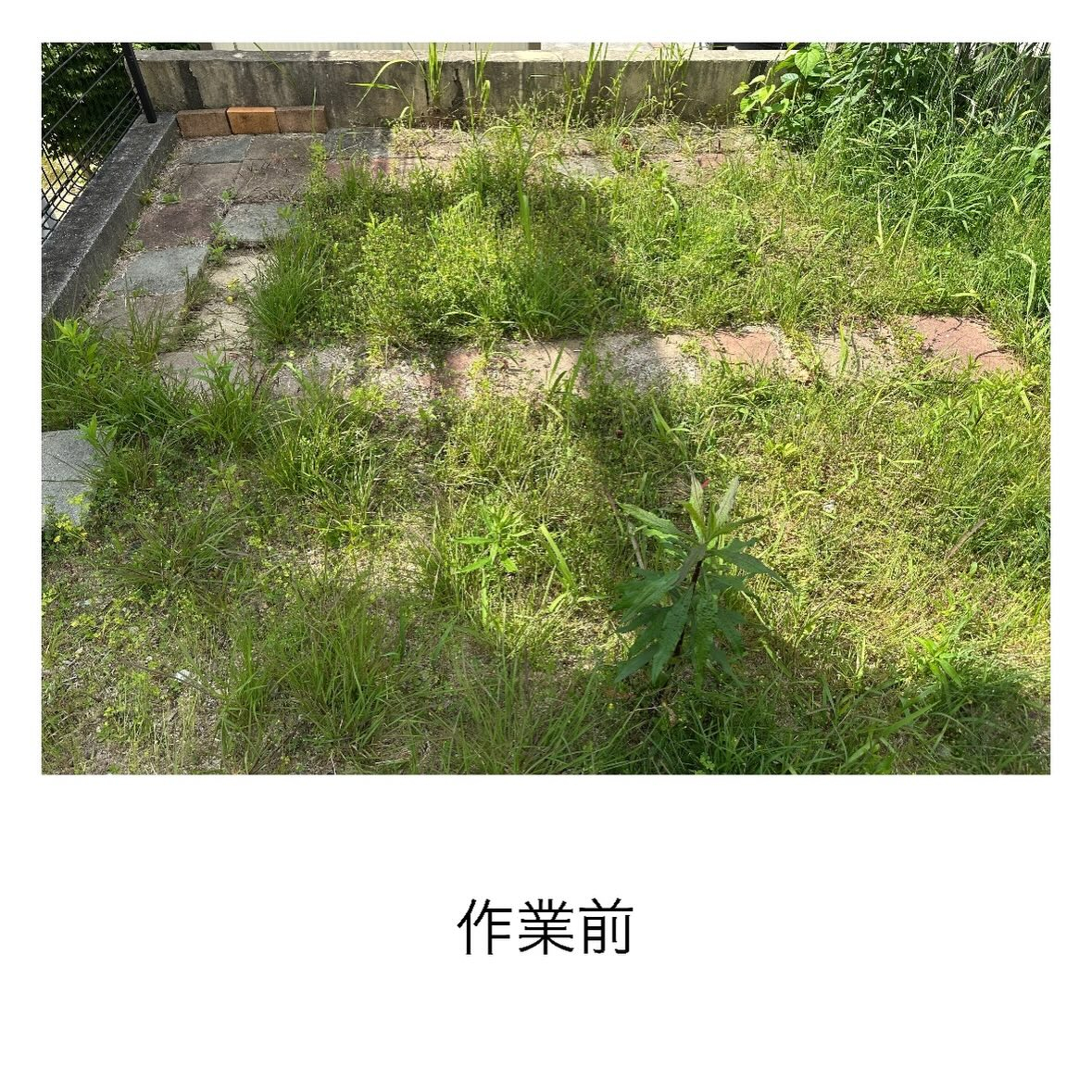 【土の入れ替え】家庭菜園をしたい！(^^)/