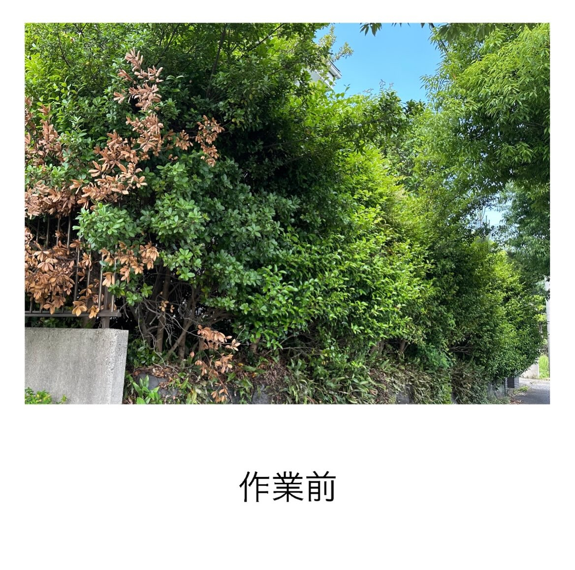 ・・・・・・・・・・・・・・・・・・・・・・・・・・