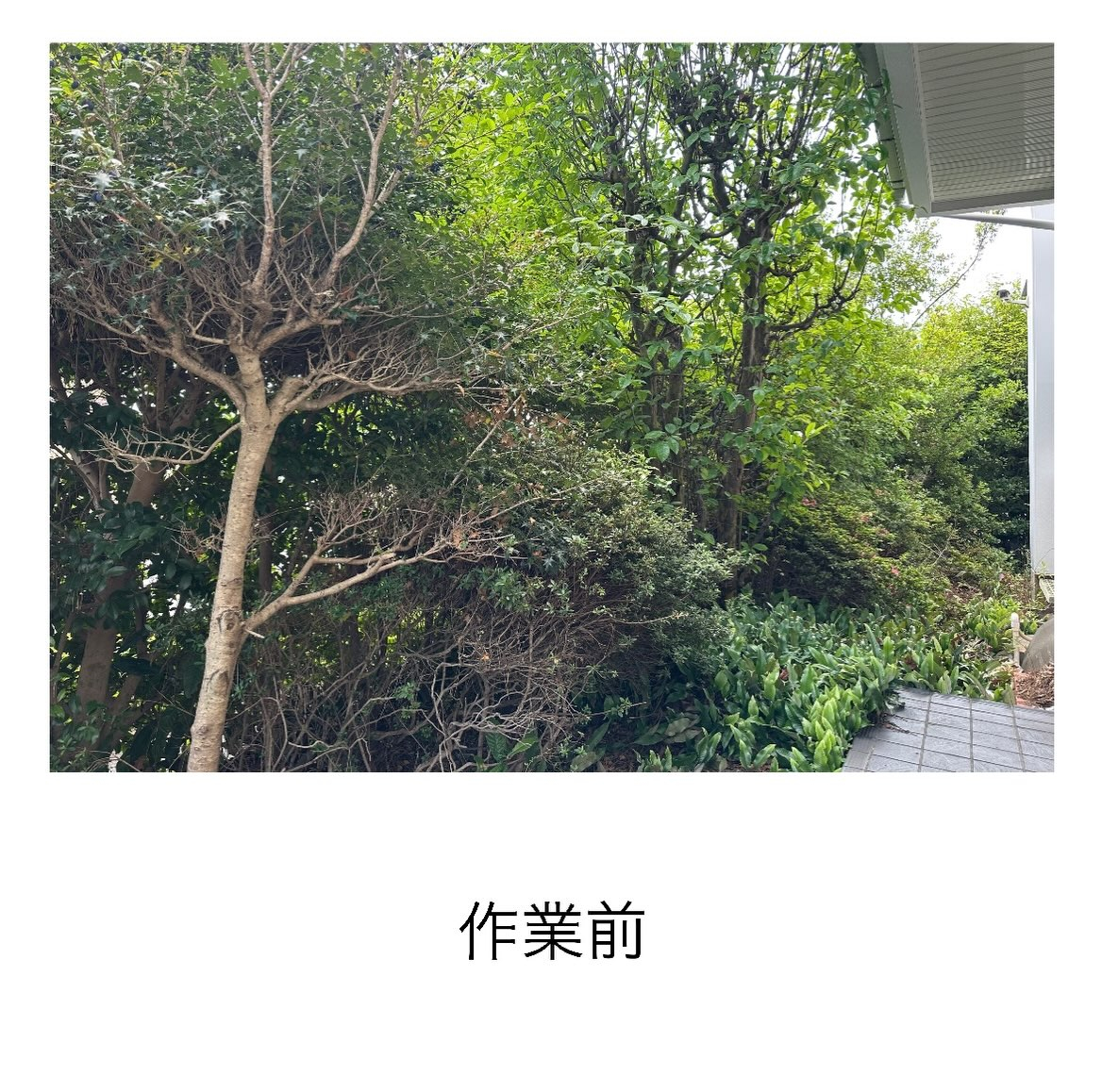 ・・・・・・・・・・・・・・・・・・・・・・・・・・
