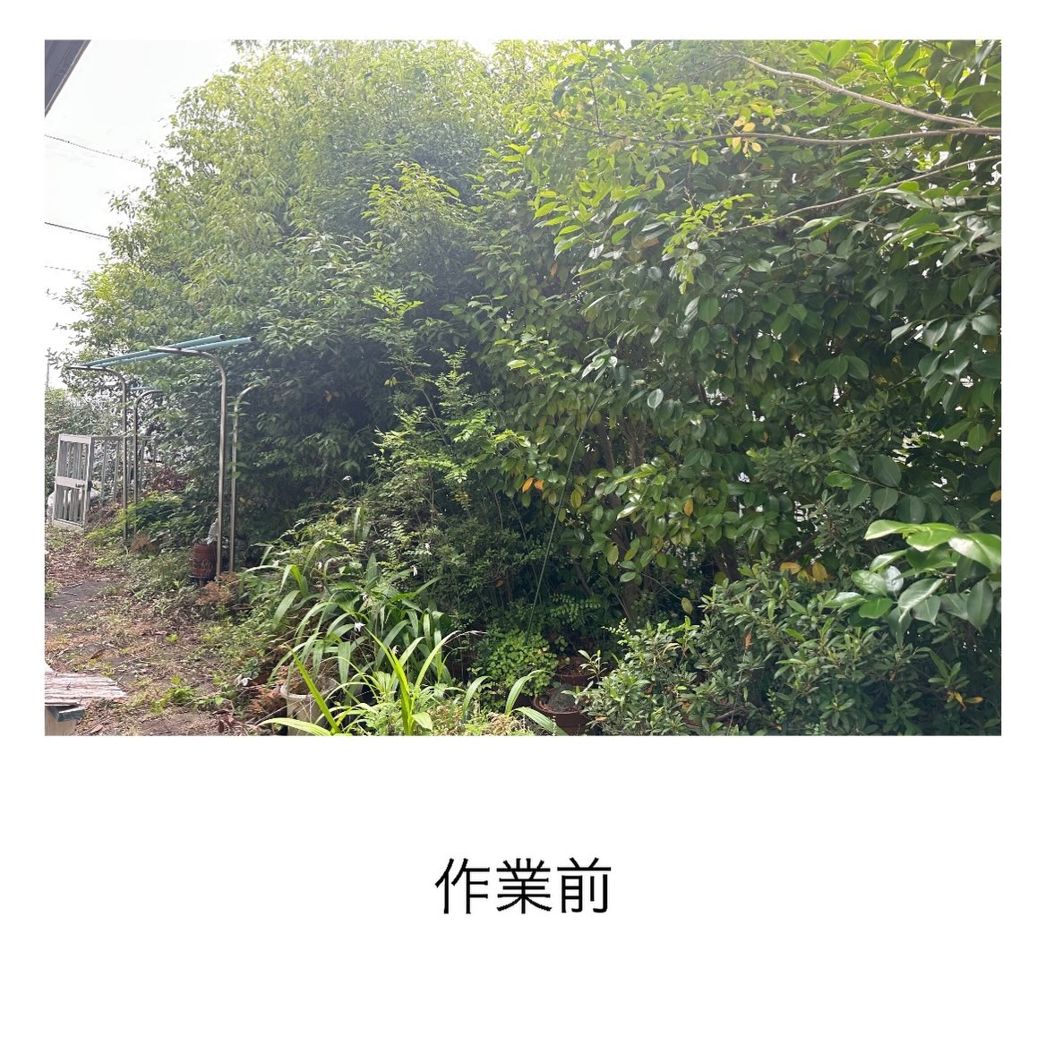 ・・・・・・・・・・・・・・・・・・・・・・・・・・