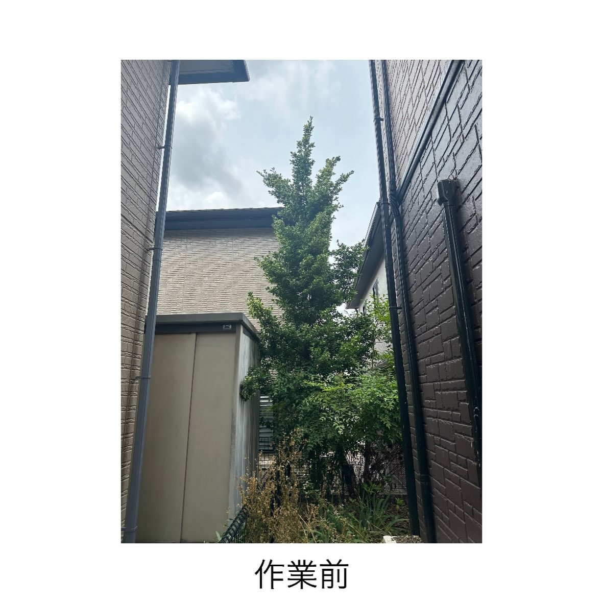 ・・・・・・・・・・・・・・・・・・・・・・・・・・