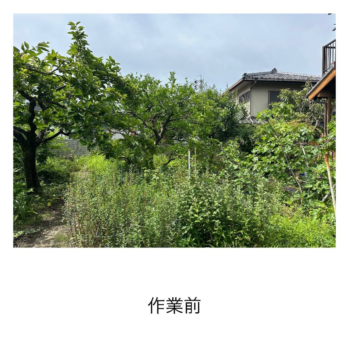 ・・・・・・・・・・・・・・・・・・・・・・・・・・