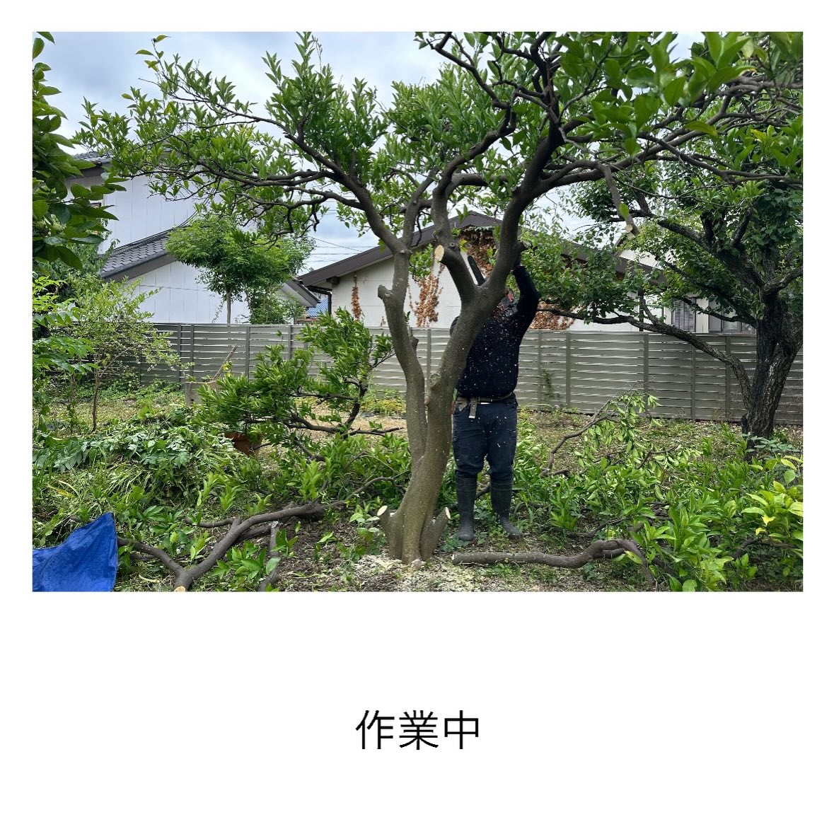 ・・・・・・・・・・・・・・・・・・・・・・・・・・