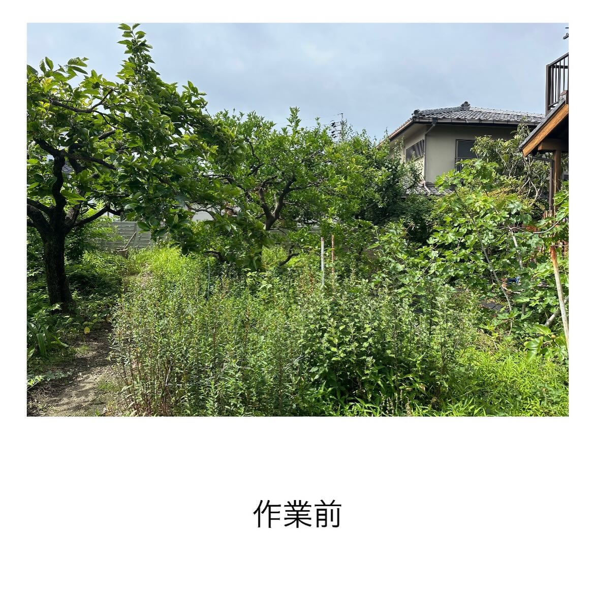 ・・・・・・・・・・・・・・・・・・・・・・・・・・