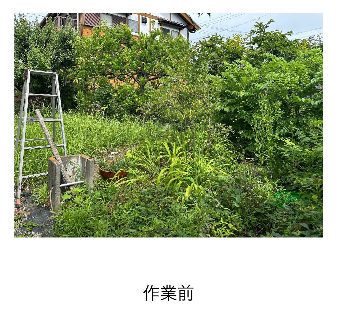 ・・・・・・・・・・・・・・・・・・・・・・・・・・